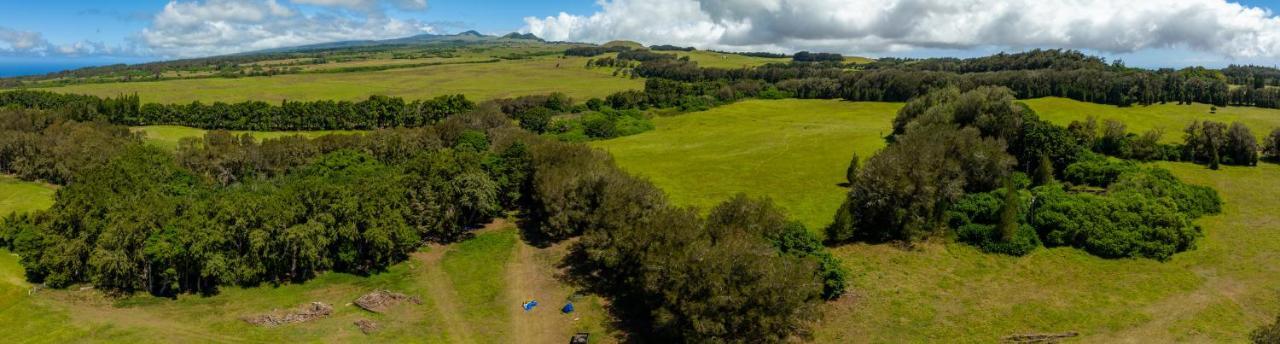 A Cozy Cabin In The Country Hawi Extérieur photo
