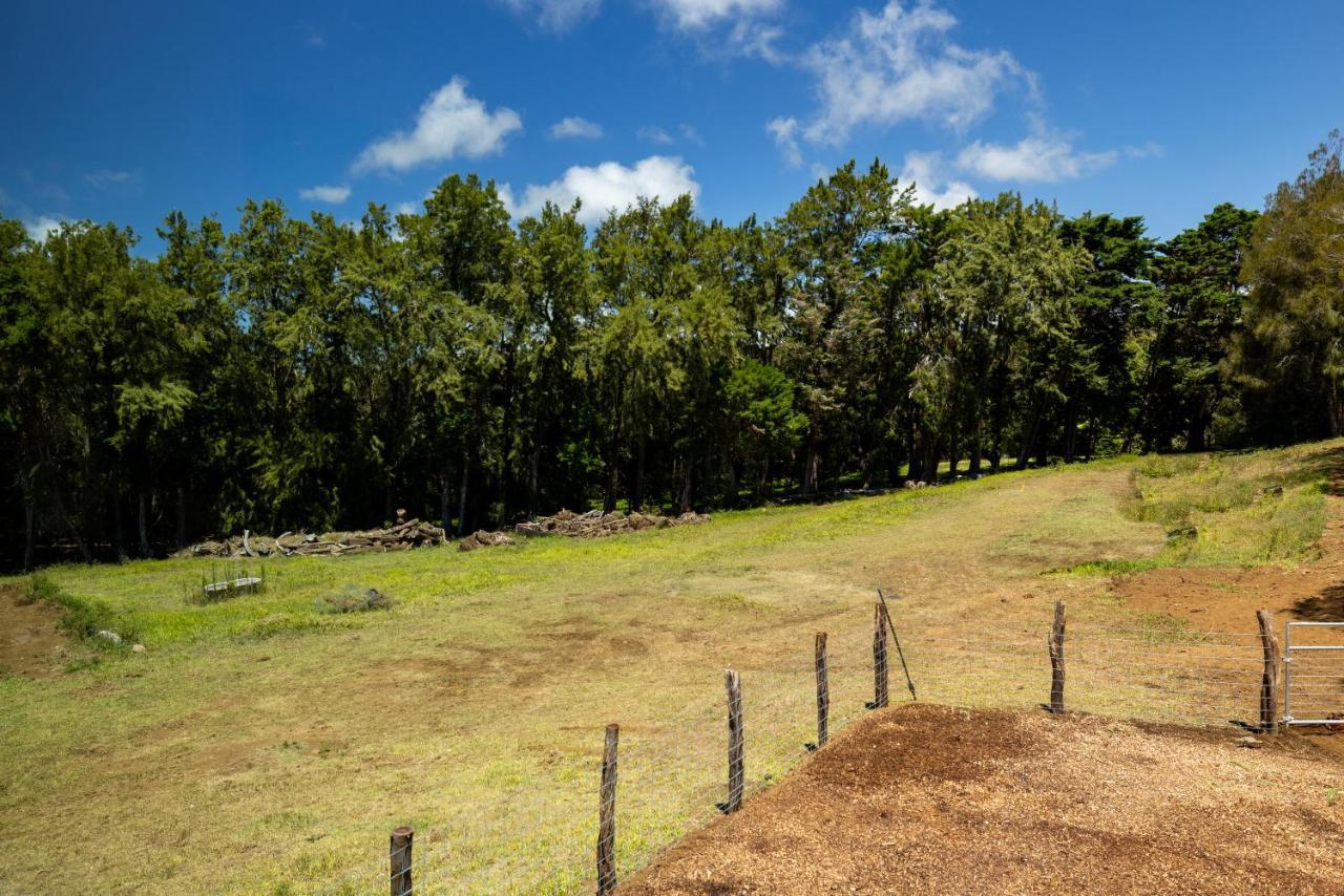 A Cozy Cabin In The Country Hawi Extérieur photo