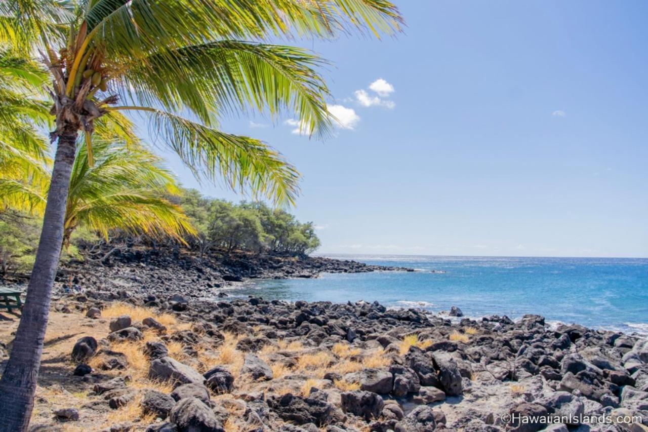 A Cozy Cabin In The Country Hawi Extérieur photo